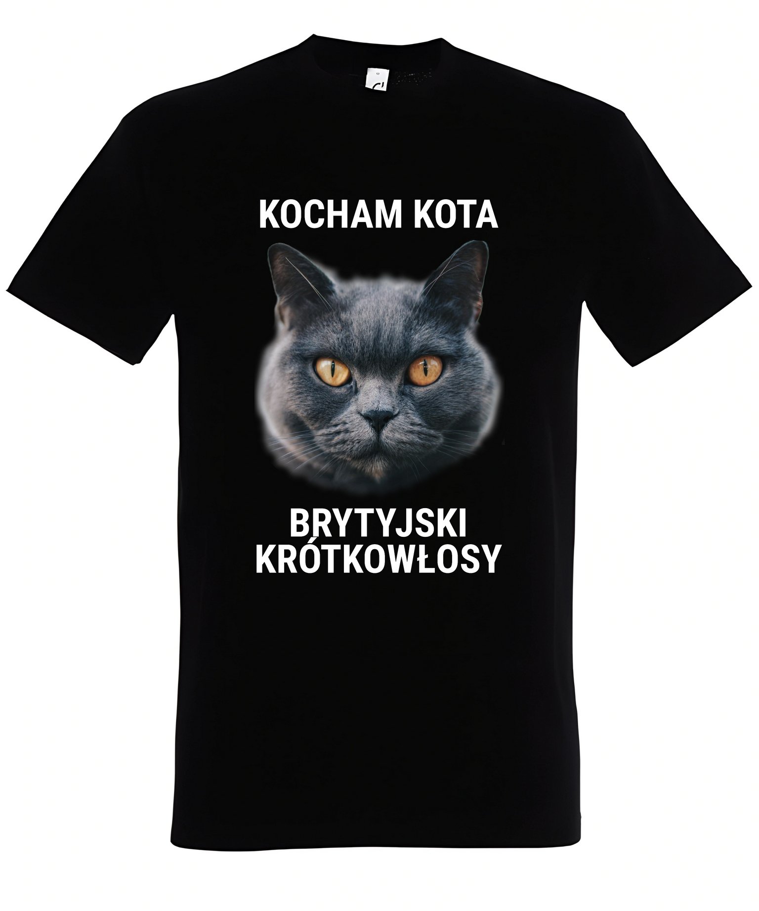 Klasyczna koszulka z kotem Kocham kota Kot brytyjski krótkowłosy