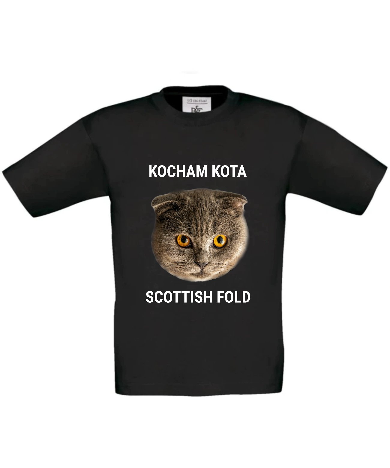 Dziecięca koszulka z kotem Kocham kota Scottish fold
